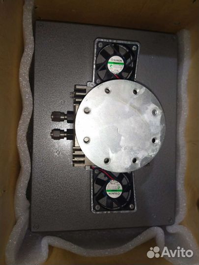 Комплекс конг