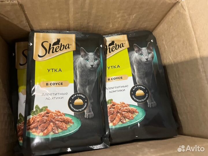 Влажный корм для кошек sheba