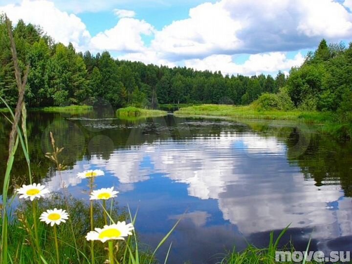 Участок 5,55 га (ИЖС)