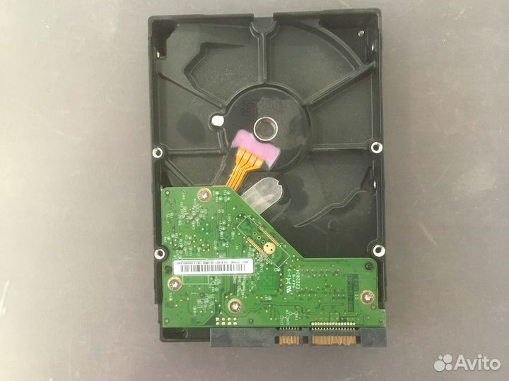Жесткий диск WD 500Гб