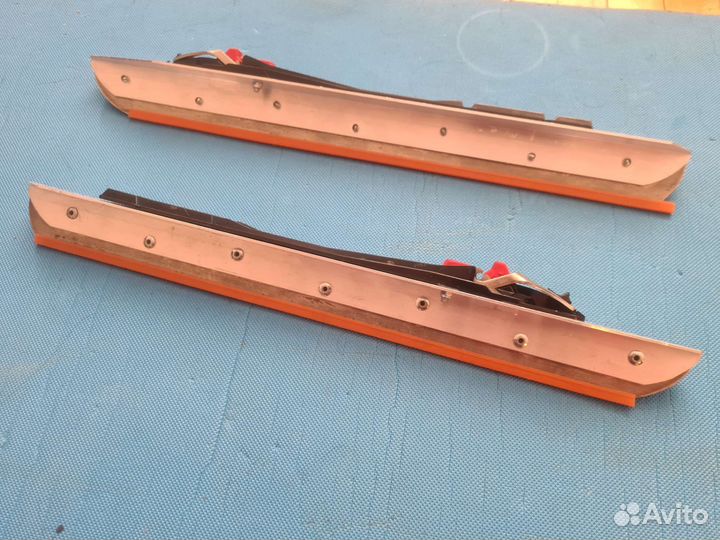 Байсы (коньки озерные)