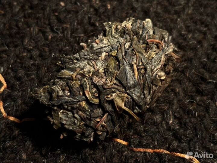 Злой Шу пуэр KCH-6266