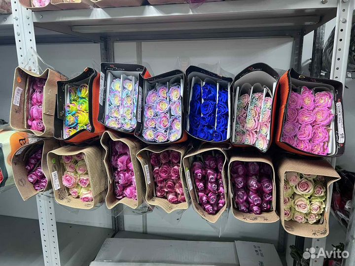 Цветы оптом и в розницу