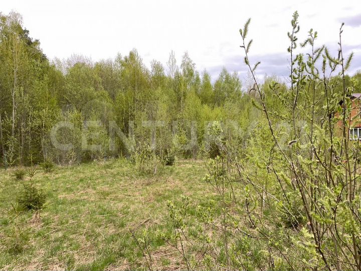 Участок 13,3 сот. (СНТ, ДНП)