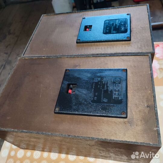 Колонки radiotehnika s 30