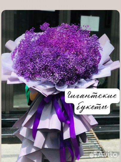 Букет цветов. Живые цветы