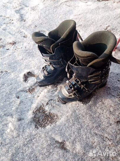 Горные лыжи