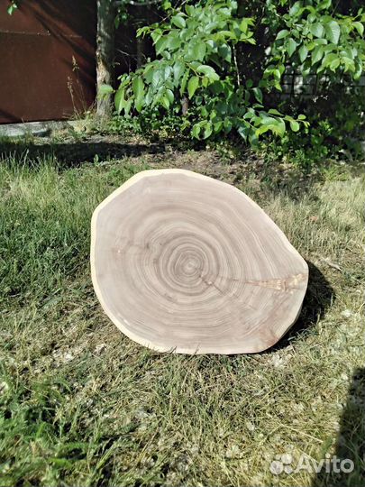 Спилы срезы дерева