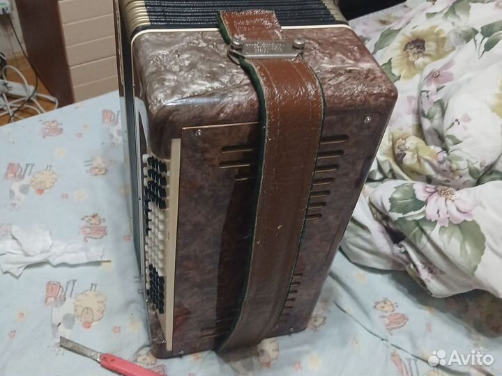 Полу баян восток