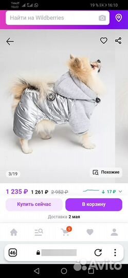 Одежда для собак