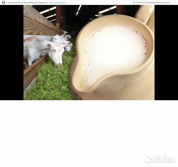 Молоко козье