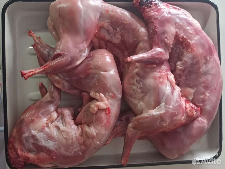 Продам мясо кролика