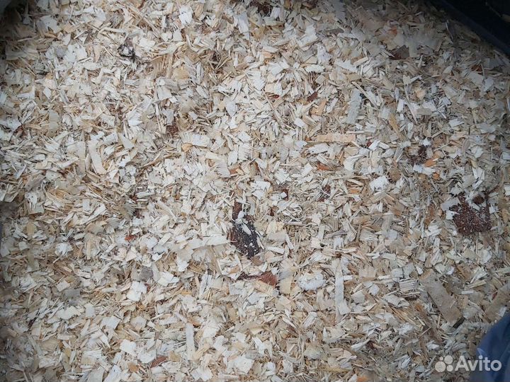 Опилки в мешках