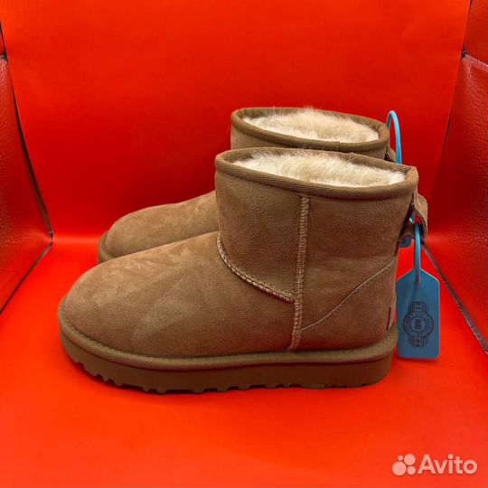 Зимние угги Ugg Classic Ultra Mini (36)