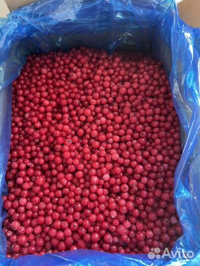 Красная смородина замороженная