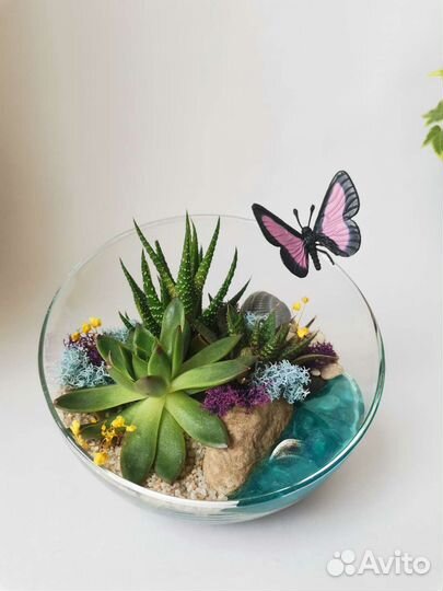 Флорариум в скошенной форме D - 16см