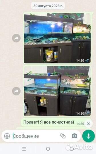 Обслуживание аквариума террариума