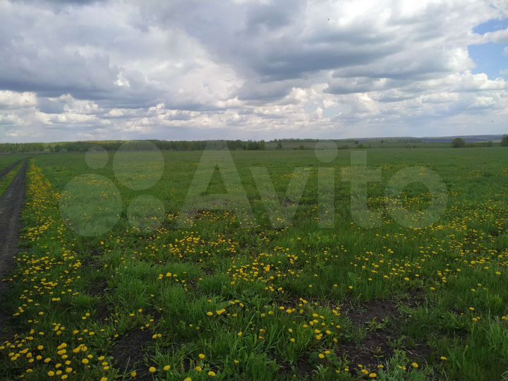 Участок 26,6 га (СНТ, ДНП)