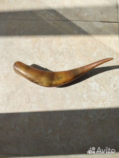 Кубок -рог для питья