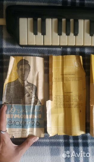 Духовая гармоника 