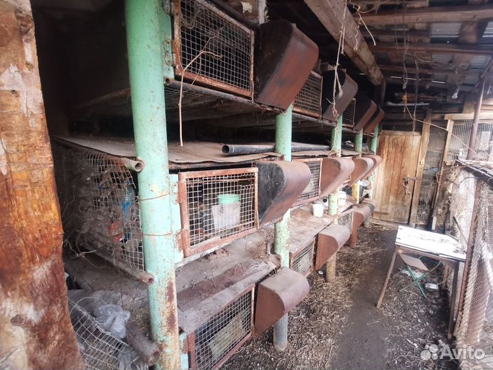 Клетки для кроликов металлические