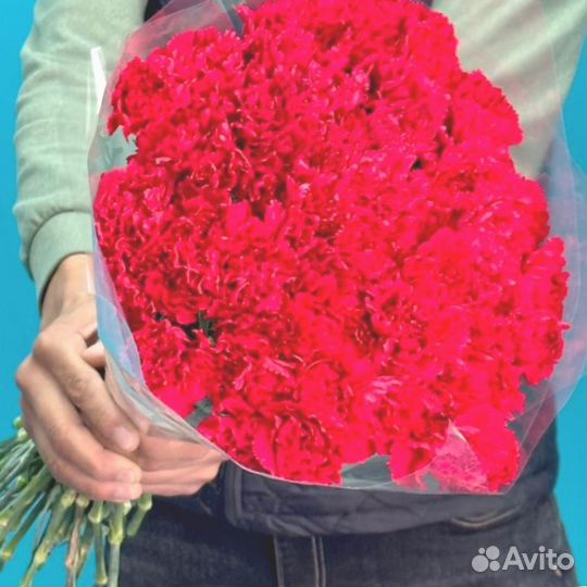 Гвоздики в наличии