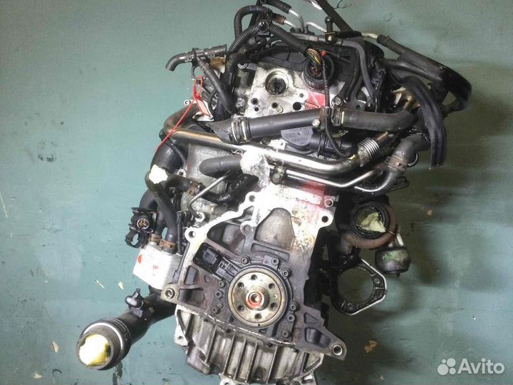 Блок двигателя Audi A3/RS3/S3