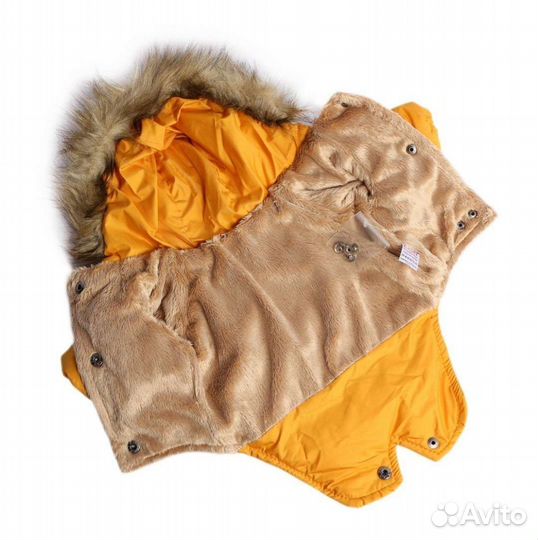 Зимняя одежда для собак мелких пород