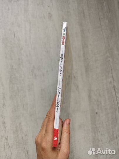 Новая книга Чик и Брики наряжают елку