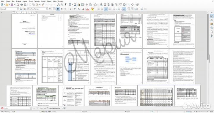 Бизнес план