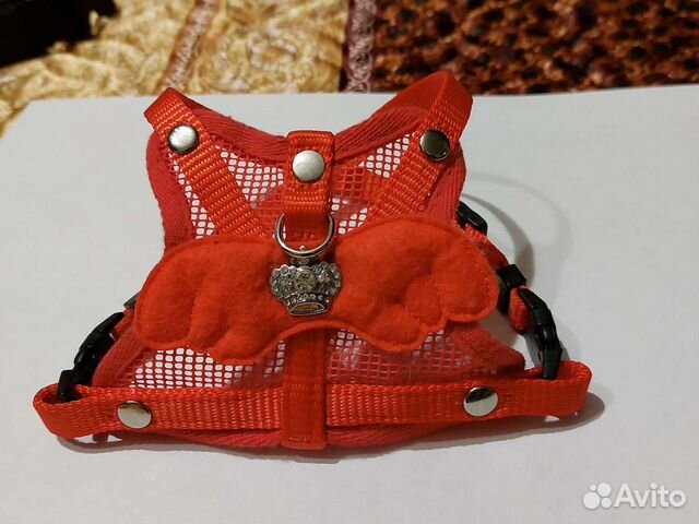 Шлейки для собаки