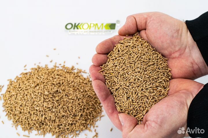 Комбикорм опт от Производителя, ищем дилера