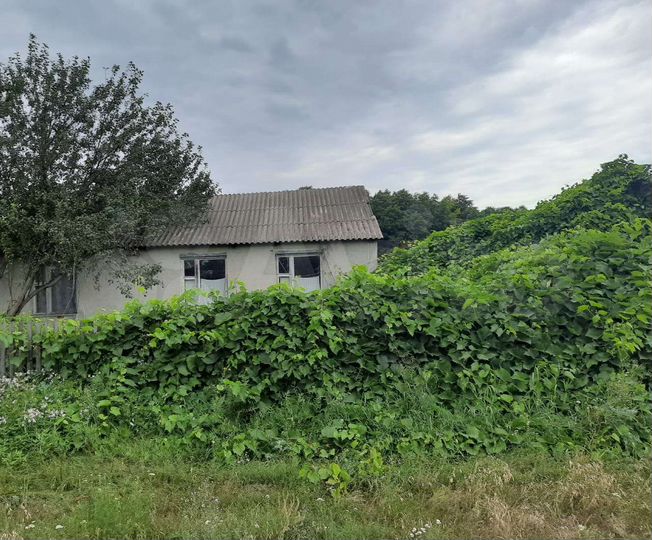 Участок 25 сот. (ИЖС)