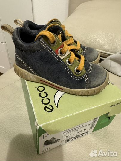 Ботинки ecco 22