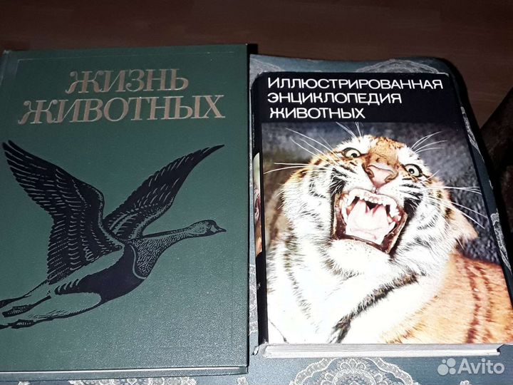 Книги.Энциклопедия животных.Жизнь животных