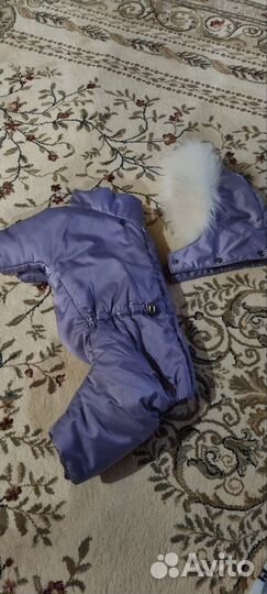 Комбинезон для маленькой собаки девочки