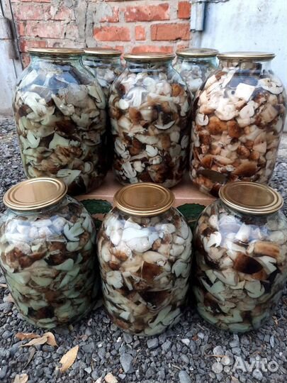 Грибы Валуи