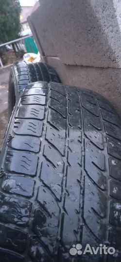 Cordiant Snow Cross 185/65 R15