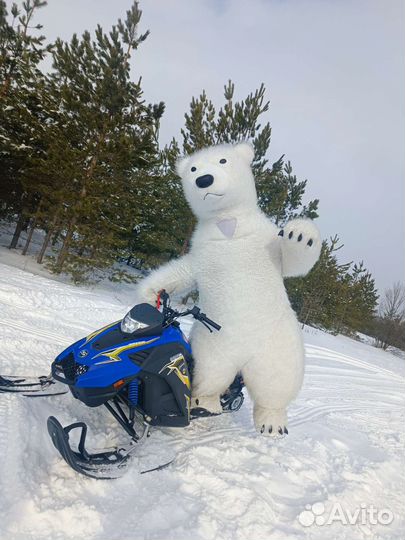 Поздравление от белого мишки, панды в Саратове