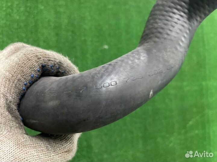 Патрубок радиатора Bmw X5 E53 M54B30 2005