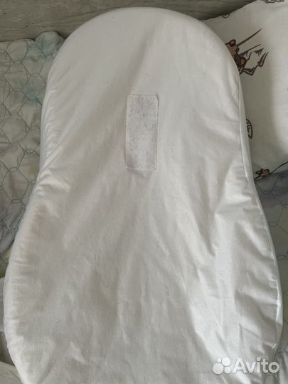 Кокон зевушка