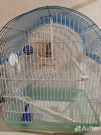 Клетка для попугая