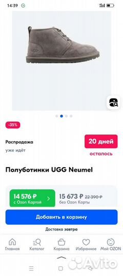 Ботинки мужские UGG