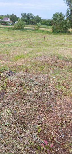 Участок 7 сот. (ИЖС)