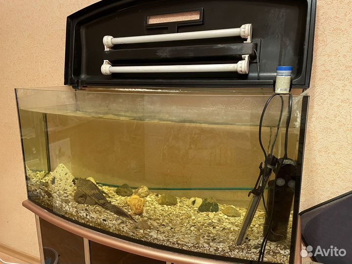 Аквариум
