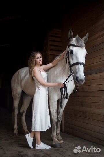 Фотограф с лошадьми и другими животными