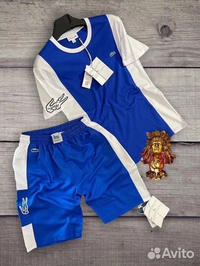 Спортивный костюм летний мужской