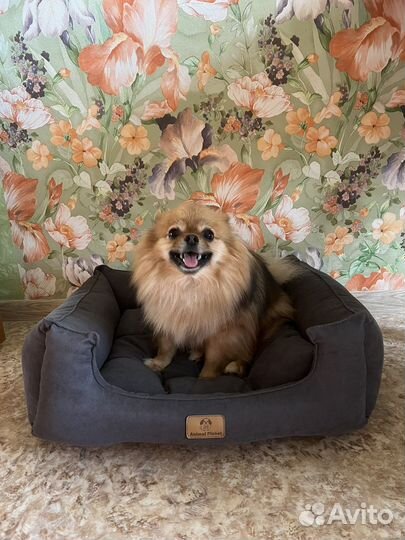 Леженка для собак и кошек