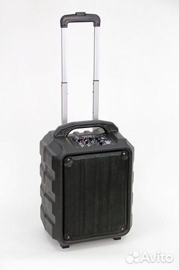 Акустическая система портативная Leem PR-6