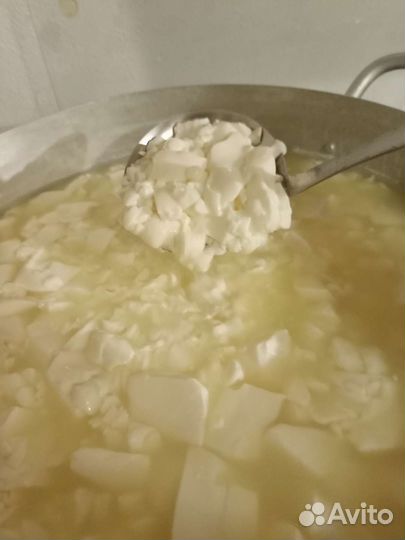 Молоко, творог,сметана,масло,сыр